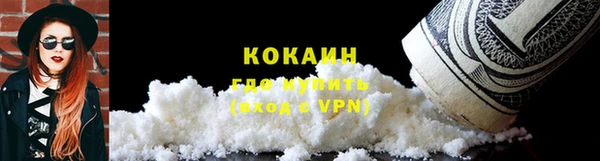 дмт Тавда