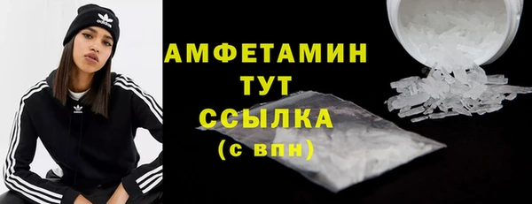 дмт Тавда
