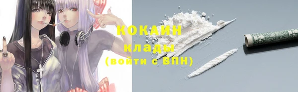 дмт Тавда