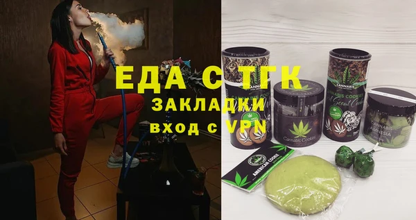 дмт Тавда