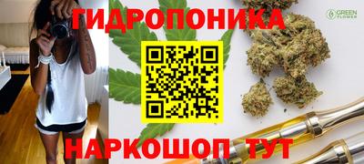 ALPHA-PVP Ачхой-Мартан