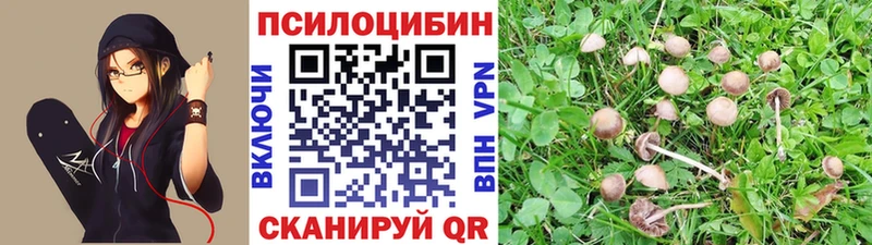 где найти Смоленск Галлюциногенные грибы Magic Shrooms