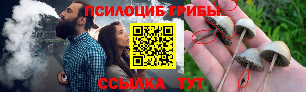 Галлюциногенные грибы Cubensis  Вход с VPN  Смоленск  Псилоцибиновые грибы Psilocybine cubensis 